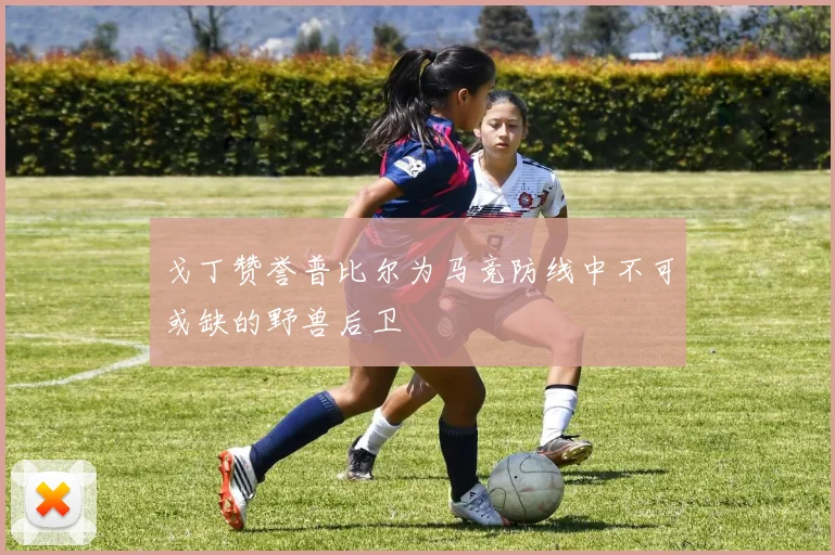 戈丁赞誉普比尔为马竞防线中不可或缺的野兽后卫